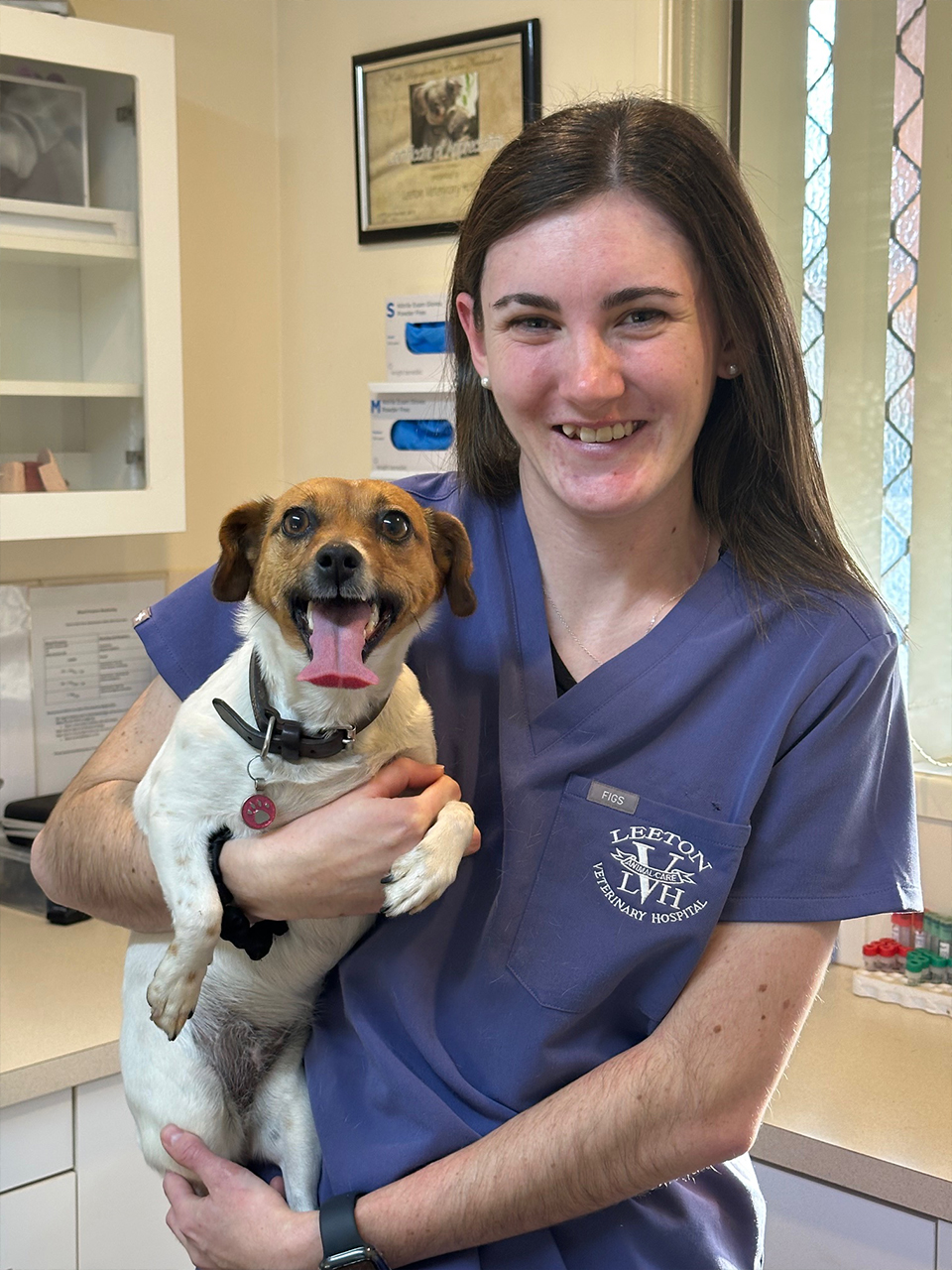 Leeton Vet - Meet the Team - Grace