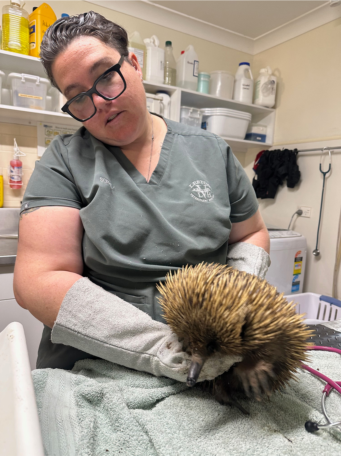 Leeton Vet - Meet the Team